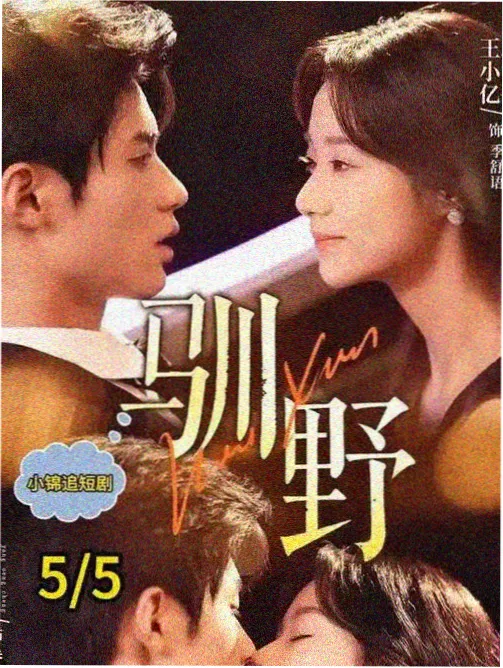 隐秘的角落 电视剧推荐